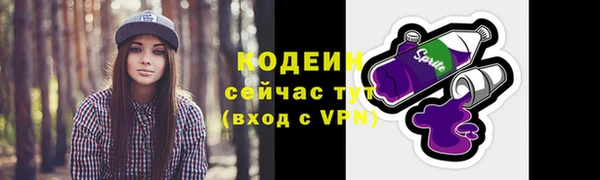 метадон Богданович